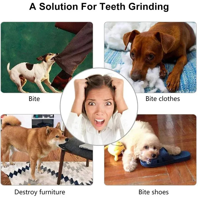 Bite-Resistant Treat Dispensing Dog Ball