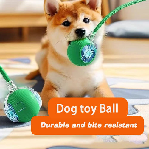 Automatic & Interactive Rolling Pet Ball