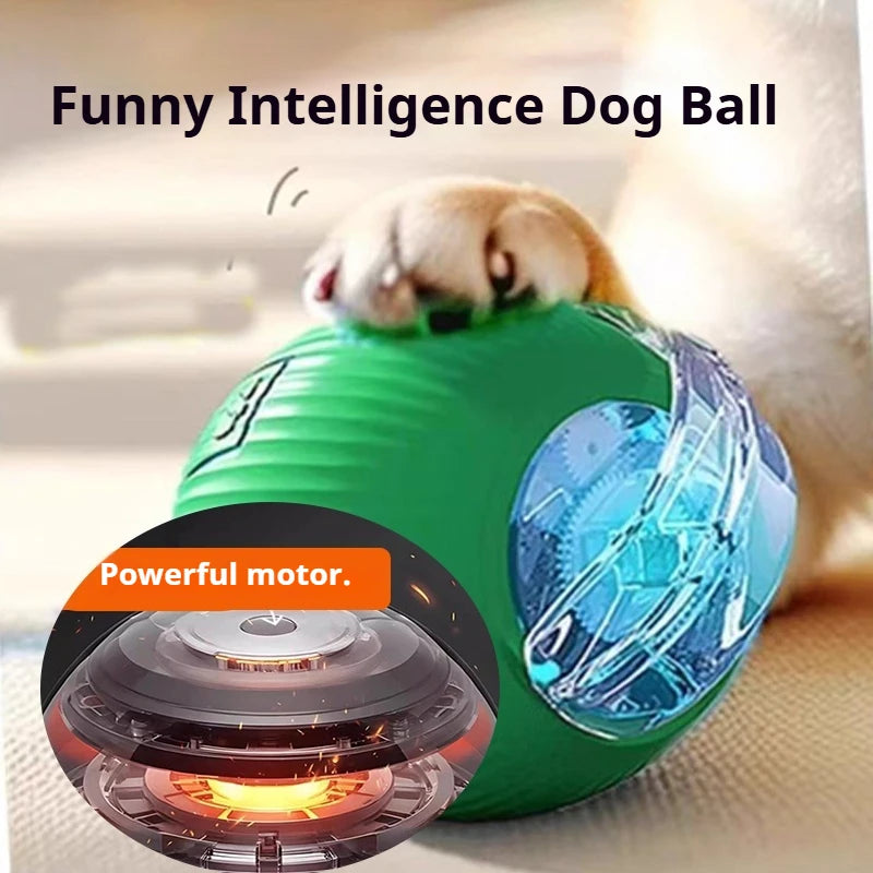 Automatic & Interactive Rolling Pet Ball