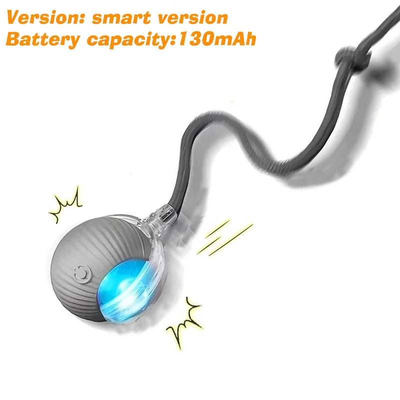 Automatic & Interactive Rolling Pet Ball