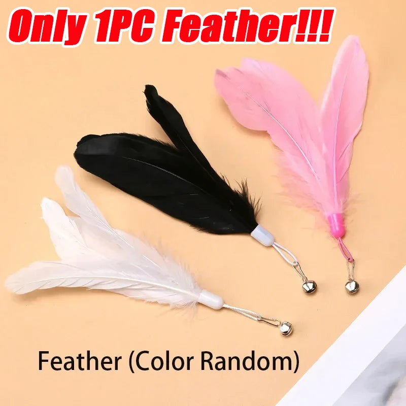 HuntNPlay Feather Teaser