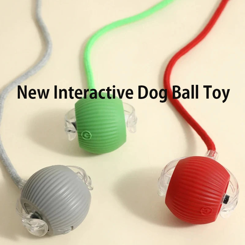 Automatic & Interactive Rolling Pet Ball