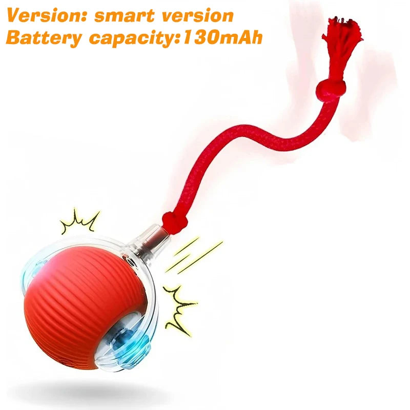 Automatic & Interactive Rolling Pet Ball