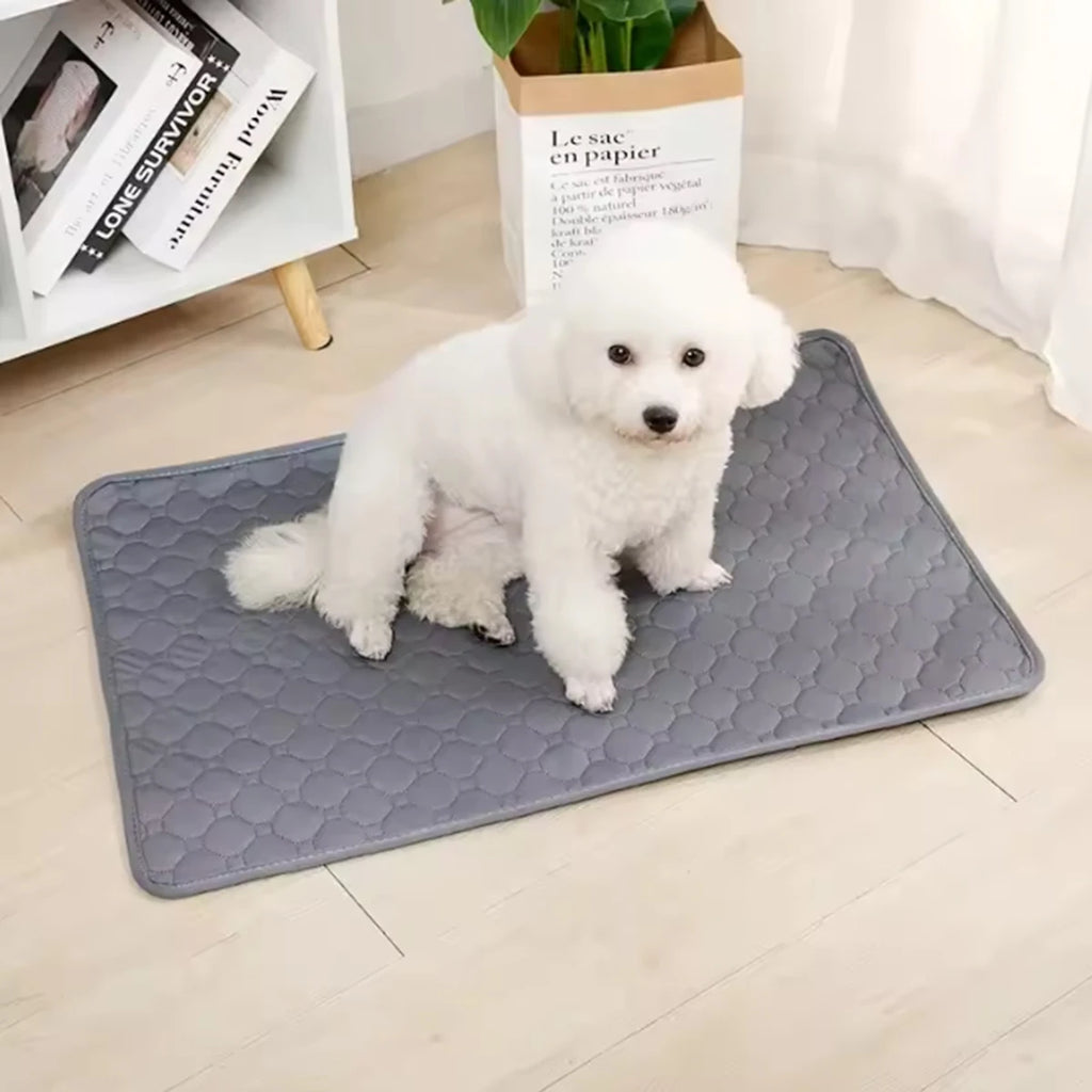 Reusable Waterproof Pet Pee Pad