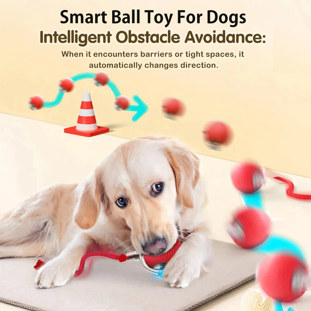 Automatic & Interactive Rolling Pet Ball