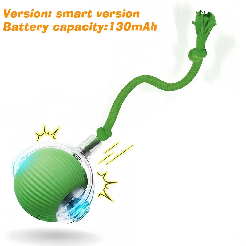 Automatic & Interactive Rolling Pet Ball