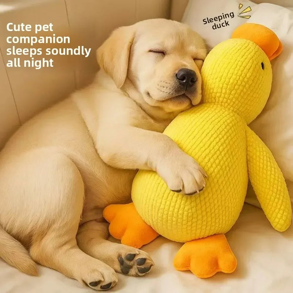 Calming Squeaky Duck Plush Dog Toy