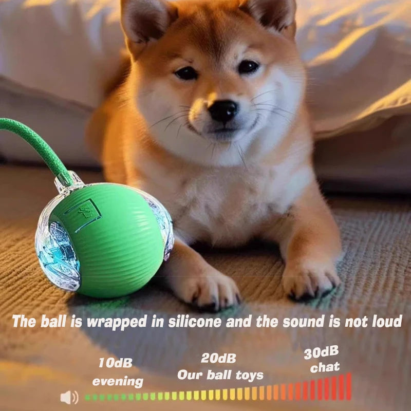 Automatic & Interactive Rolling Pet Ball
