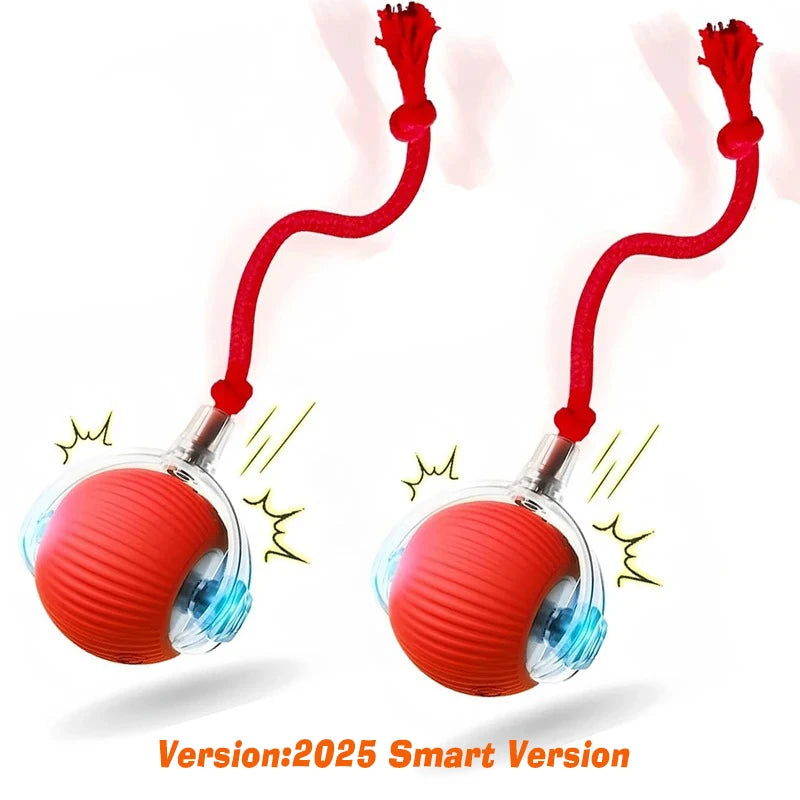 Automatic & Interactive Rolling Pet Ball